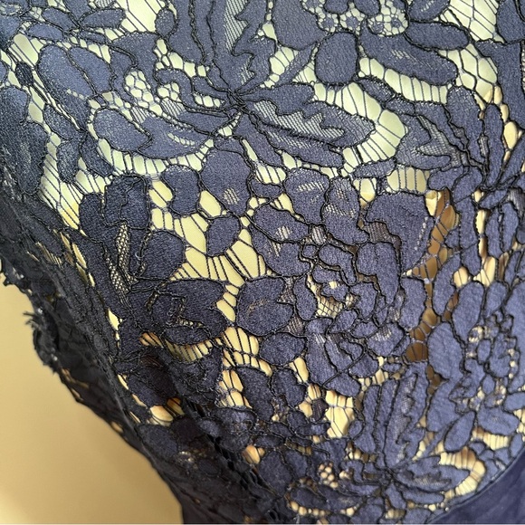 Eliza J. Navy Blue Fit & Flare Lace Bodice Cap Sleeve Cocktail Dress - size 12 - Picture 5 of 7